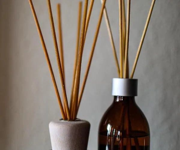 My Cozy Escape 公寓 克莱恩 蒙塔纳